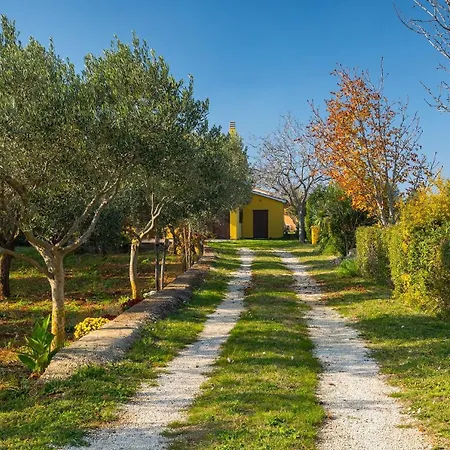 Villa Smilja By Guide Vodnjan